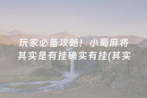 玩家必备攻略！小蜀麻将其实是有挂确实有挂(其实确实有挂)
