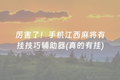 厉害了！手机江西麻将有挂技巧辅助器(真的有挂)