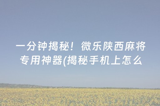 一分钟揭秘！微乐陕西麻将专用神器(揭秘手机上怎么容易赢)