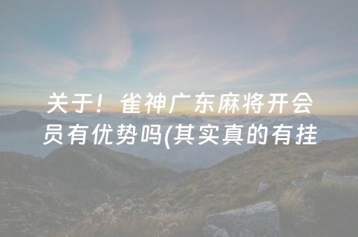 关于！雀神广东麻将开会员有优势吗(其实真的有挂)