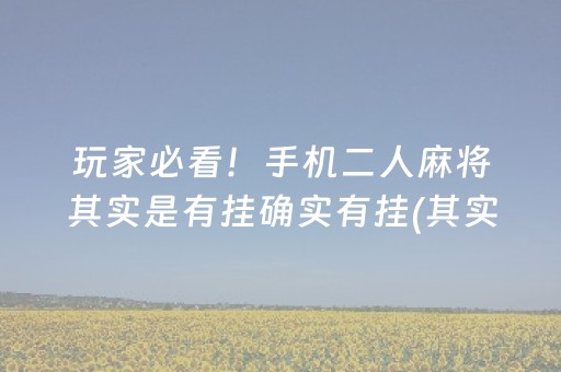 玩家必看！手机二人麻将其实是有挂确实有挂(其实是有挂确实有挂)