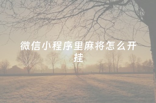 微信小程序里麻将怎么开挂（微信小程序麻将怎么开挂是真的吗）
