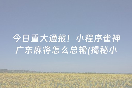 今日重大通报！小程序雀神广东麻将怎么总输(揭秘小程序插件购买)