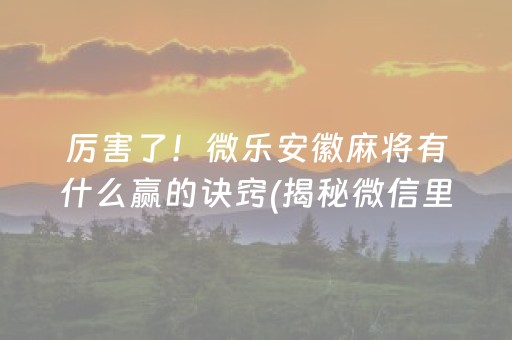 厉害了！微乐安徽麻将有什么赢的诀窍(揭秘微信里插件购买)