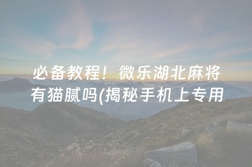 必备教程！微乐湖北麻将有猫腻吗(揭秘手机上专用神器下载)