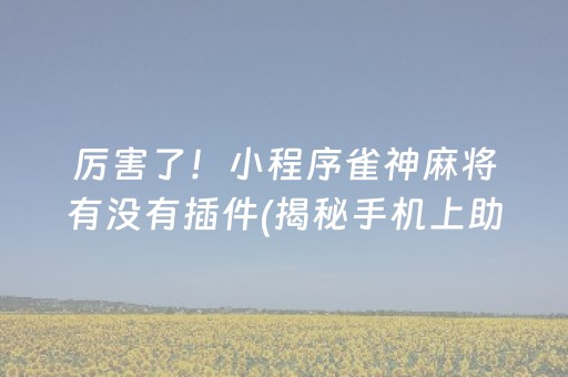 厉害了！小程序雀神麻将有没有插件(揭秘手机上助赢软件)