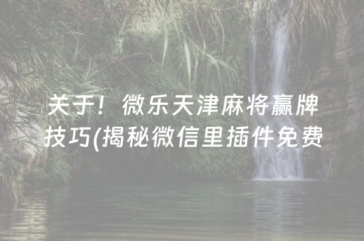 关于！微乐天津麻将赢牌技巧(揭秘微信里插件免费)