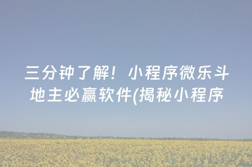 三分钟了解！小程序微乐斗地主必赢软件(揭秘小程序攻略插件)