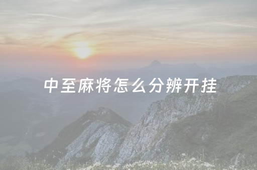 中至麻将怎么分辨开挂（中至麻将有没有挂）