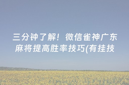 三分钟了解！微信雀神广东麻将提高胜率技巧(有挂技巧辅助器)