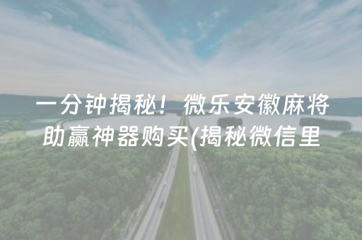 一分钟揭秘！微乐安徽麻将助赢神器购买(揭秘微信里必备神器)