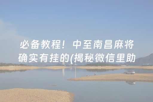 必备教程！中至南昌麻将确实有挂的(揭秘微信里助攻神器)