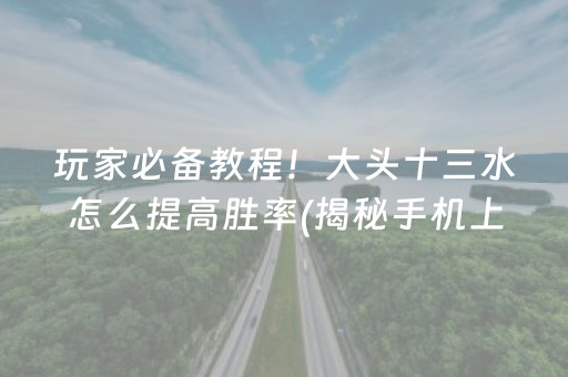 玩家必备教程！大头十三水怎么提高胜率(揭秘手机上助赢软件)