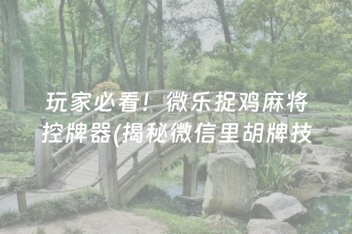 玩家必看！微乐捉鸡麻将控牌器(揭秘微信里胡牌技巧)