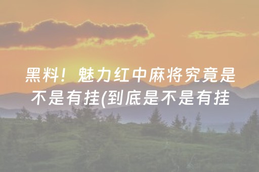 黑料！魅力红中麻将究竟是不是有挂(到底是不是有挂)
