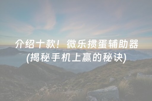 介绍十款！微乐掼蛋辅助器(揭秘手机上赢的秘诀)