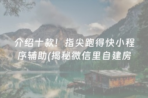 介绍十款！指尖跑得快小程序辅助(揭秘微信里自建房怎么赢)