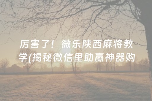 厉害了！微乐陕西麻将教学(揭秘微信里助赢神器购买)