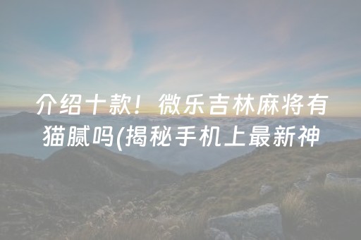介绍十款！微乐吉林麻将有猫腻吗(揭秘手机上最新神器下载)