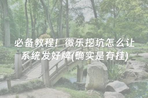 7分钟揭秘“微乐挖坑辅助器通用版”（辅助器插件)