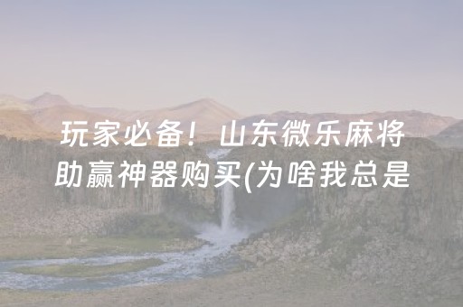玩家必看攻略“微乐陕西挖坑怎么提高胜率”（输赢规律)