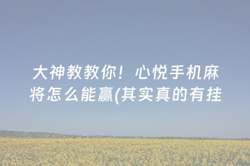 胜率设置方法“云南微乐麻将助赢神器购买”（开挂辅助器脚本)