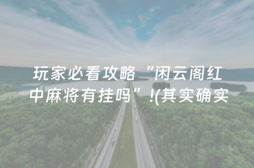 玩家必备“广东麻将做弊器”（辅助神器免费)