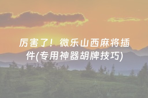 安装程序教程“微乐双扣神器”（怎么调胜率)