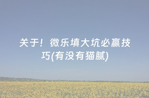 关于！微乐填大坑必赢技巧(有没有猫腻)