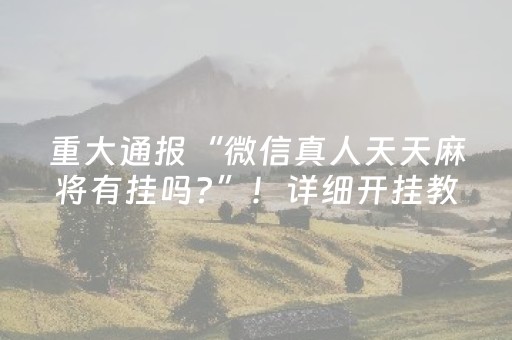 安装教程“微乐海南麻将如何让系统发好牌”（专用神器)
