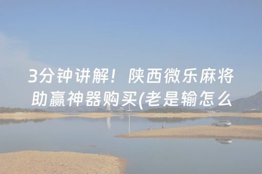 3分钟讲解！陕西微乐麻将助赢神器购买(老是输怎么回事)