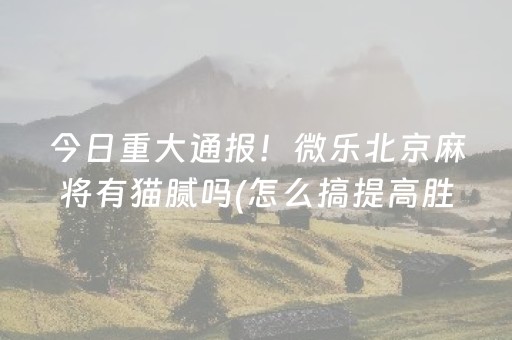 今日重大通报“微乐天津麻将赢牌技巧”（插件可信吗)