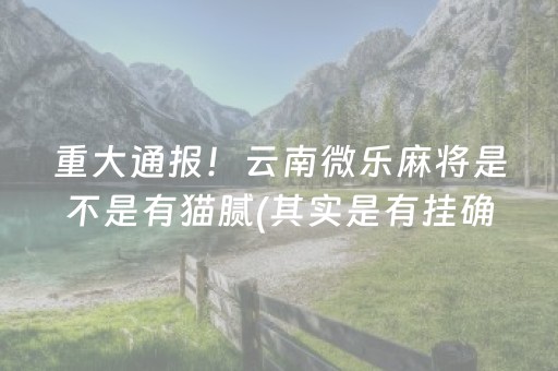分享玩家攻略“小程序麻将助赢神器”（自建房怎么赢)
