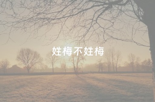 安装教程“微乐河南麻将怎么让系统发好牌”（自建房胜负规律)