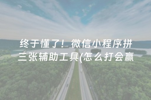 终于懂了！微信小程序拼三张辅助工具(怎么打会赢)