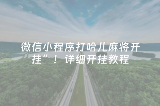 必备教程“微乐家乡麻将助赢神器购买”（开挂辅助脚本)