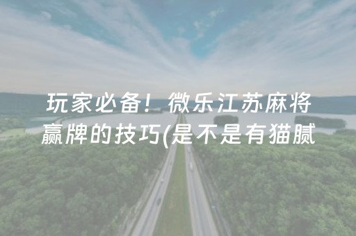 胜率设置方法“小程序微乐麻将自建房怎么赢”（必赢神器辅助器)