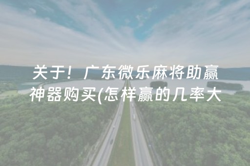 关于！广东微乐麻将助赢神器购买(怎样赢的几率大)