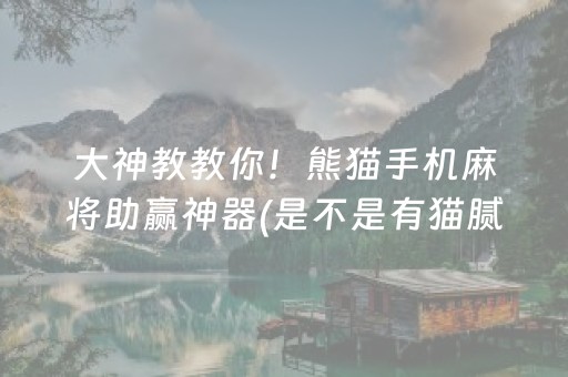 大神教教你“雀神广东麻将好友房怎么才能赢”（胜率到哪调)