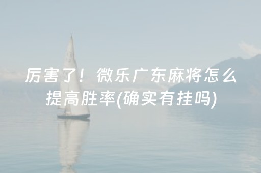 给大家科普一下“微乐山东麻将助攻神器”（胜负规律拿好牌)