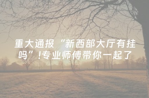 安装教程“微乐四川麻将怎么让系统发好牌”（技巧和打好牌方法)