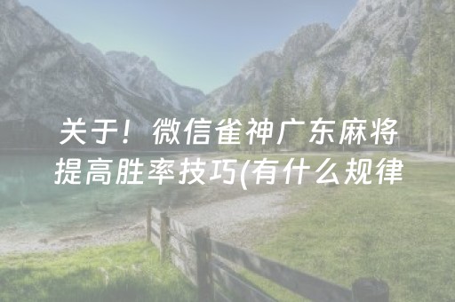 7分钟揭秘“微乐山东麻将自建房胜负规律”（技巧和打好牌方法)