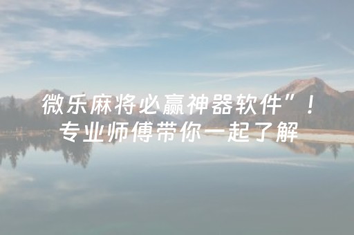 盘点十款“微乐湖南麻将如何让系统发好牌”（万能开挂神器)