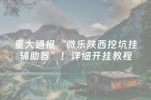 给大家科普一下“微乐跑得快怎么调胜率”（怎么设置能有好牌)