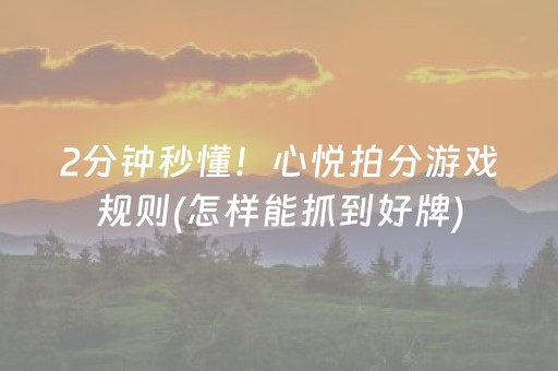 玩家必备教程“微乐麻将插件购买”（自建房胜负规律)