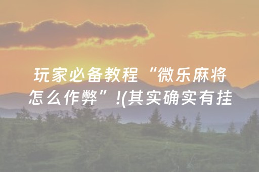 玩家必备教程“微乐麻将怎么作弊”!(其实确实有挂)-抖音