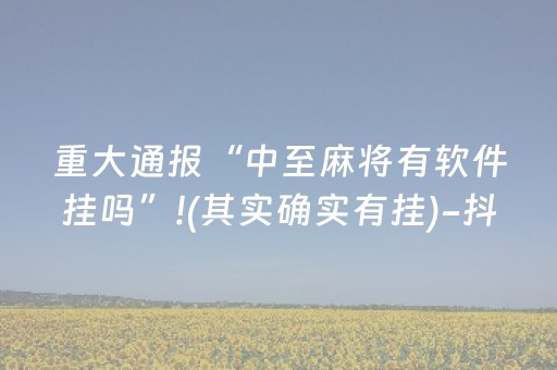 必备攻略“微信麻将开挂神器下载”（AI辅助胡牌规则)