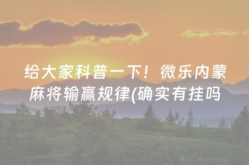 玩家必备“微乐挖坑辅助器通用版”（通用挂软件多少钱)