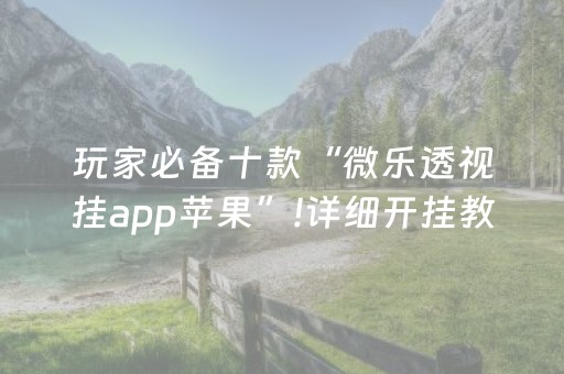 推荐十款“微乐陕西麻将辅牌器购买”（装挂怎么安装)