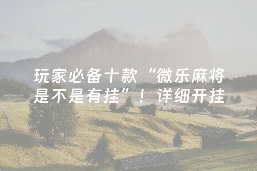 必看盘点揭秘“微乐安徽麻将能作假吗”（插件可信吗)